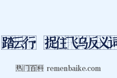 踏云行·捉住飞乌反义词是什么意思的图片